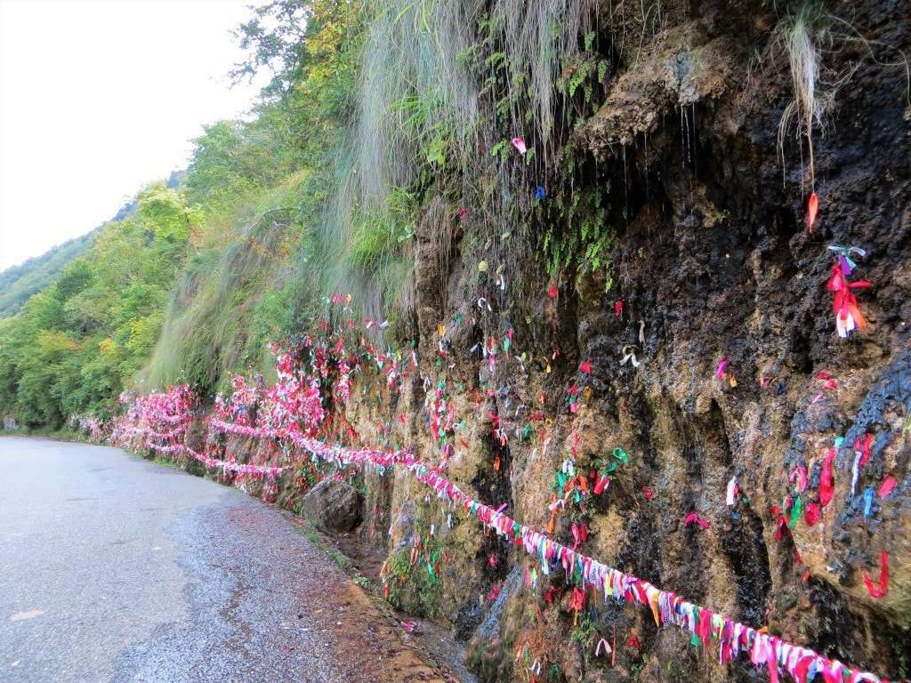 Экскурсия к озеру Рица